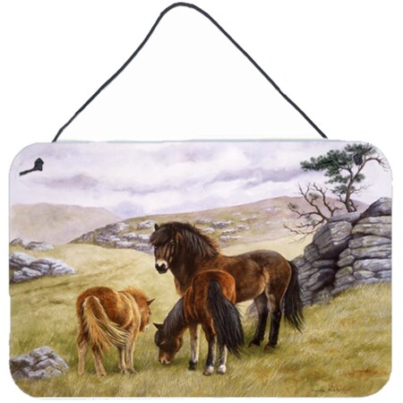 Carolines Treasures Horses in the Meadow Wall or Door Hanging Prints BDBA0189DS812